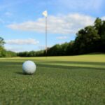 a golf ball sitting on top of a green field